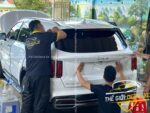PPF tpu kia sorento 2025 13
